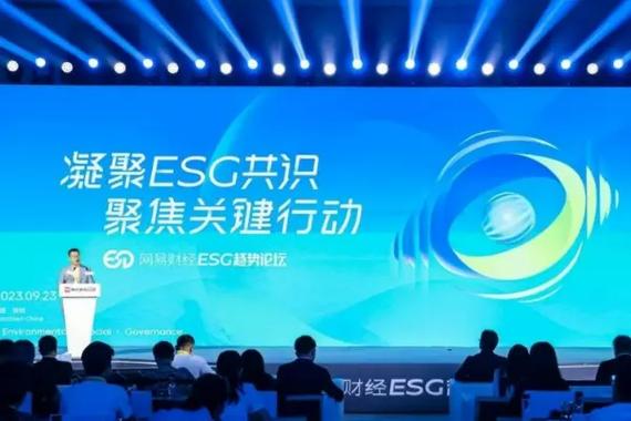 新浪财经,网易财经,财经库这些网站可以查看某股票以往价格吗?怎么查 ...