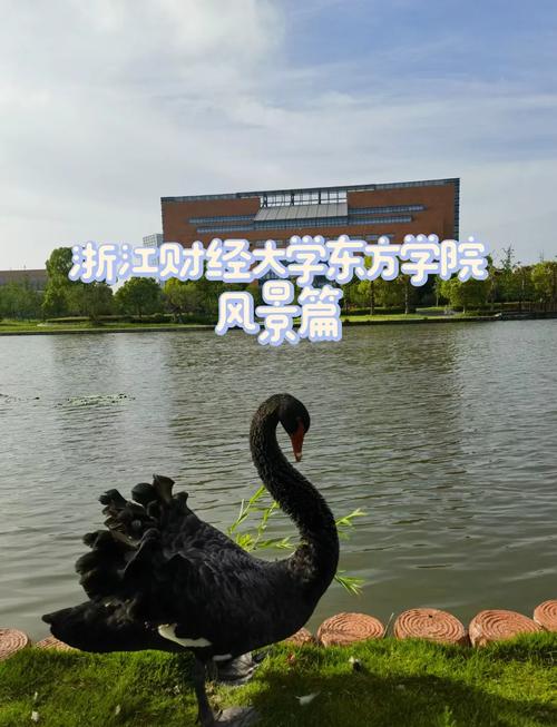 浙江财经大学东方学院教务系统详解 浙江财经大学东方学院教务系统详解